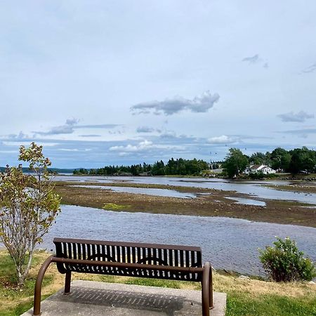 Riverview Suites Clarenville Zewnętrze zdjęcie