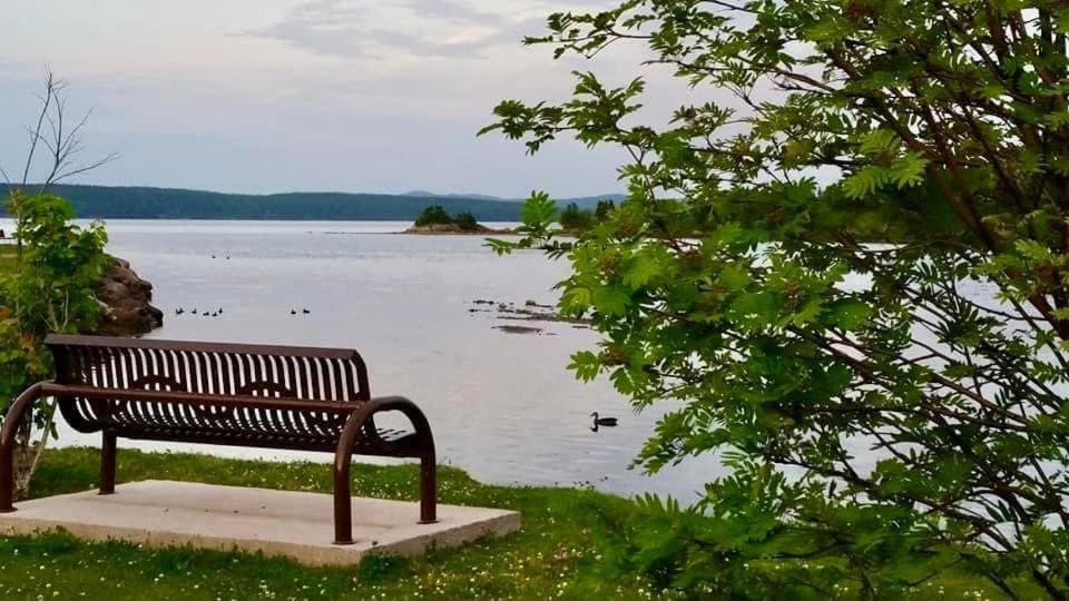 Riverview Suites Clarenville Zewnętrze zdjęcie