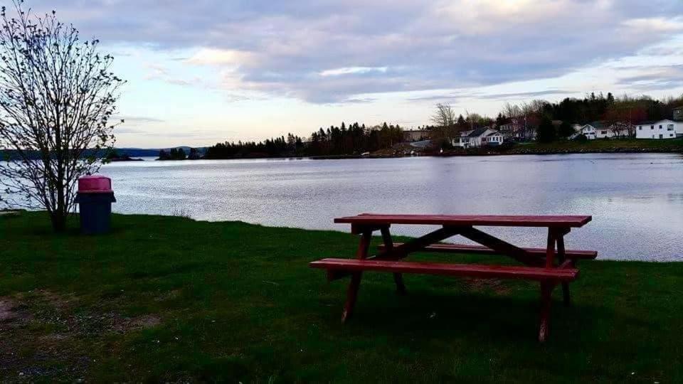 Riverview Suites Clarenville Zewnętrze zdjęcie