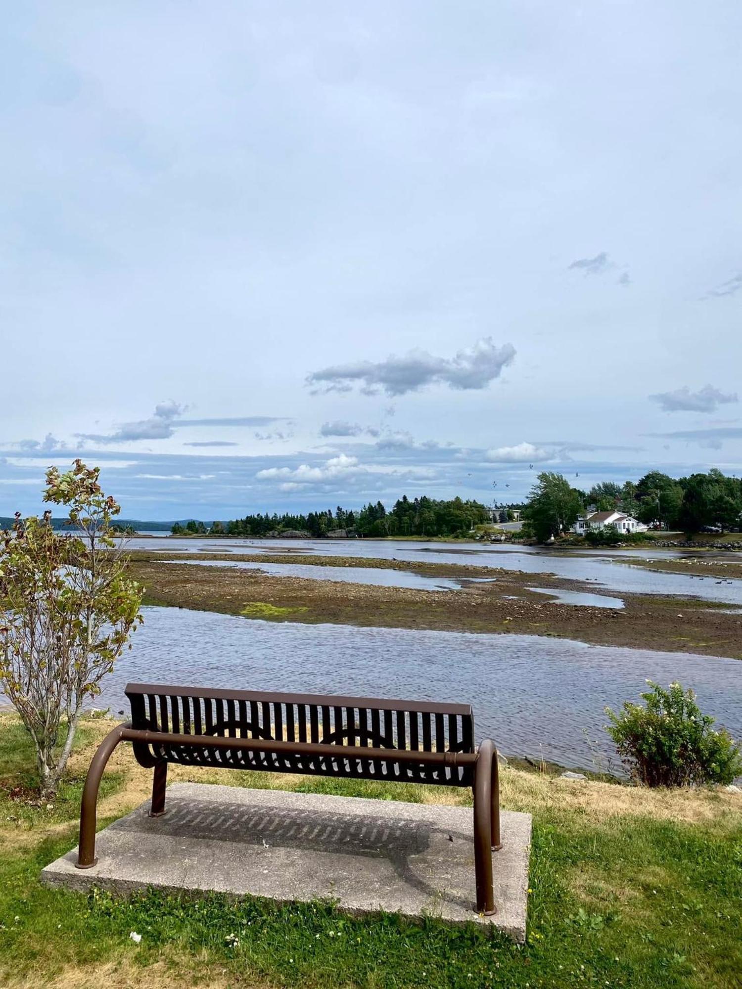 Riverview Suites Clarenville Zewnętrze zdjęcie